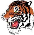 Tiger mascot
