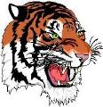 Tiger mascot