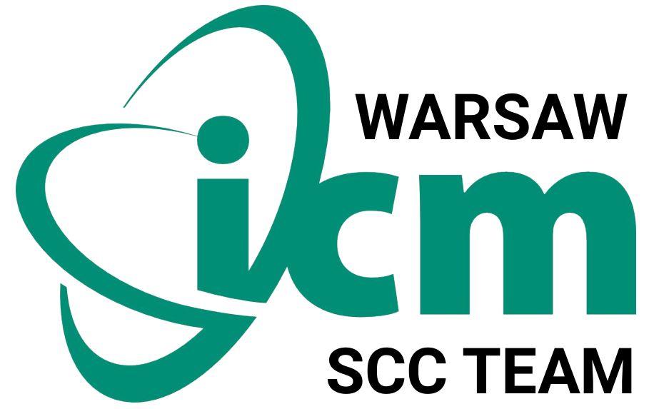 Team 13 Logo