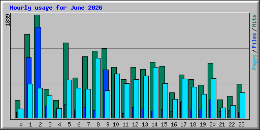 Hourly usage for June 2026